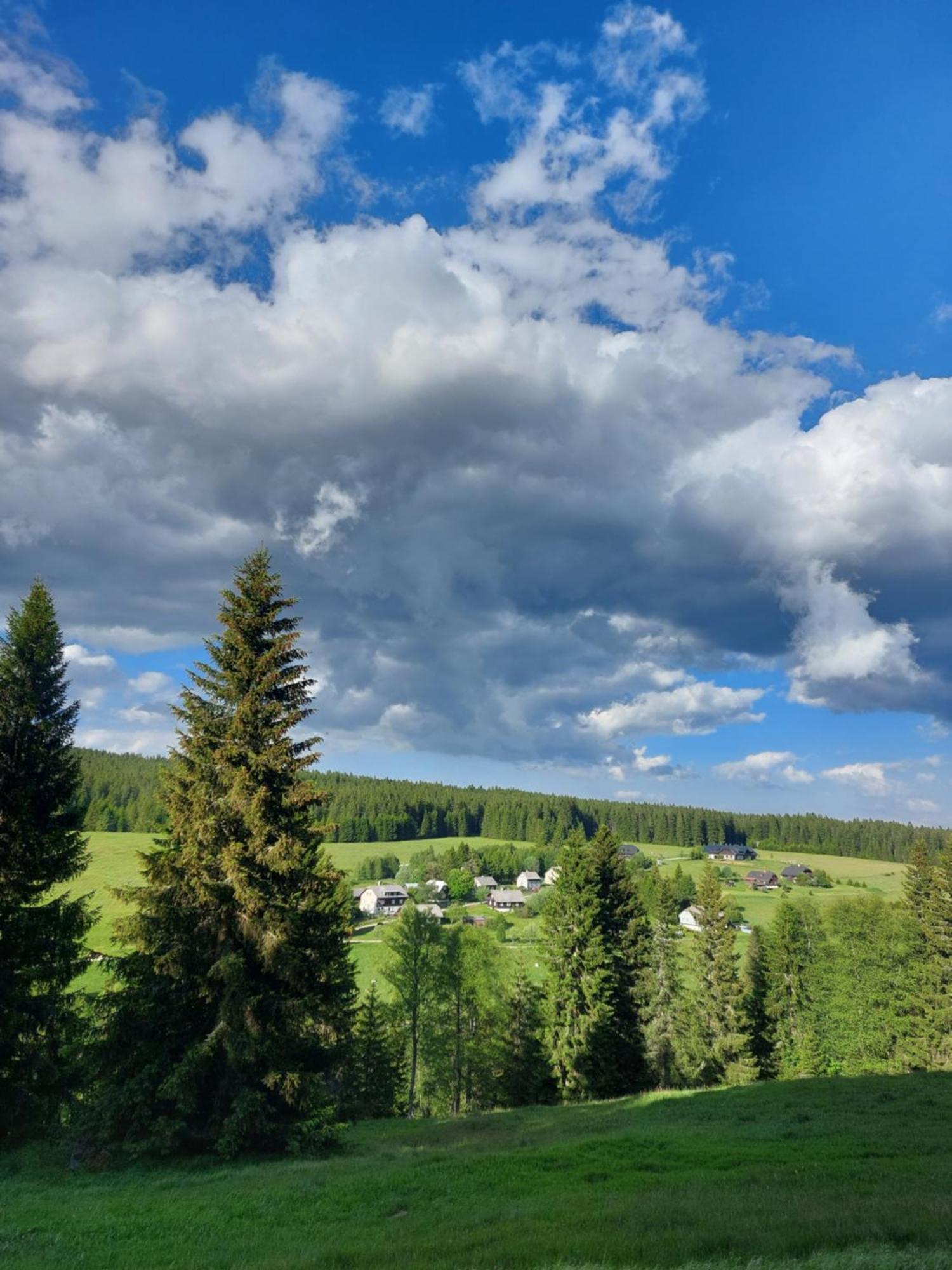 Wellness Chata Rosnatka Kvilda Bagian luar foto