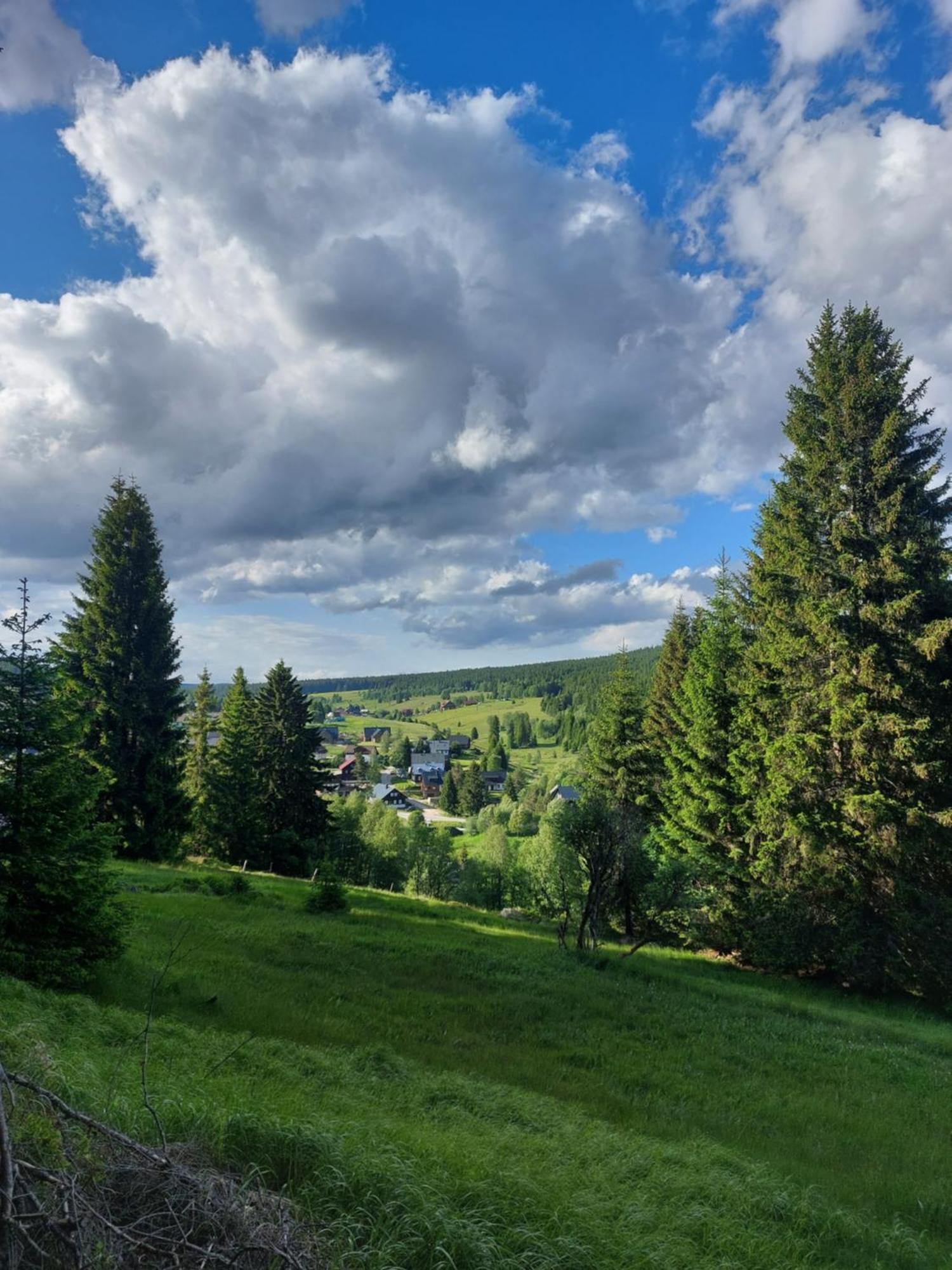 Wellness Chata Rosnatka Kvilda Bagian luar foto